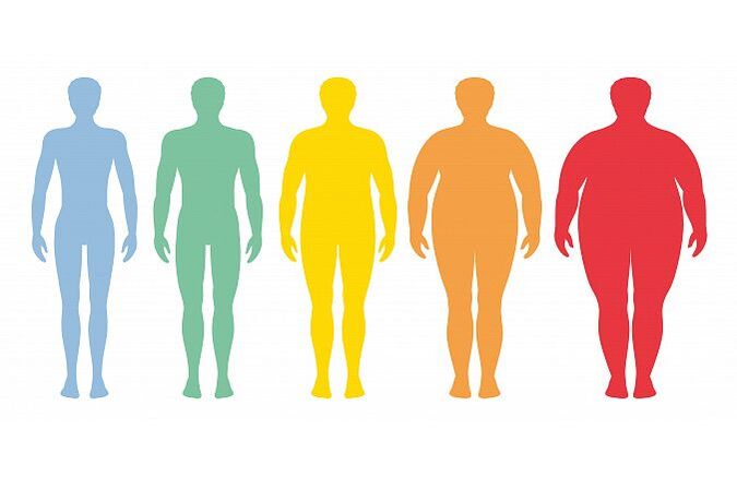 BMI und Körpertyp